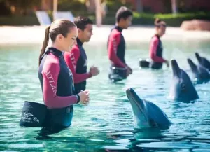 Atlantis Dolphin Bay