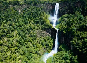 Aberdare national park