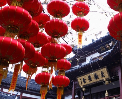 Cultural Exchange & Language Learning