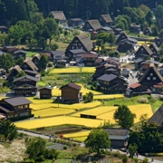 Japan – Shirakawa-go