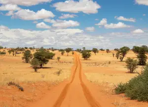 Kgalagadi Transfrontier national park