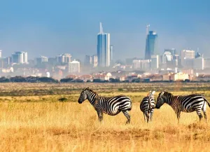 Nairobi national park
