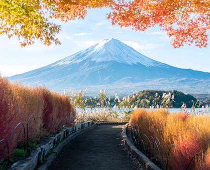 Nature & Outdoor Learning