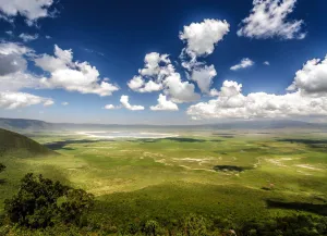 Ngorongoro Conservation Area