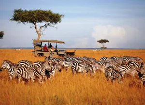 Serengeti National park