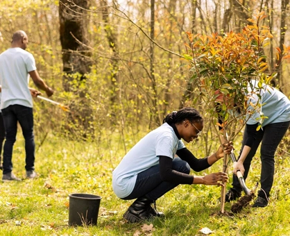 Skill Development and Volunteering