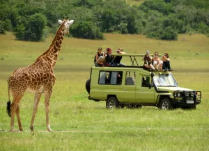 Tanzania Safari Tours Africa
