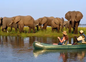 Zambia Safari Vacation